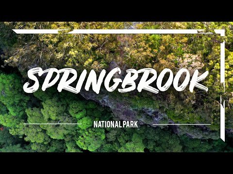 EXPLORING SPRINGBROOK NATIONAL PARK QUEENSLAND | Close to Gold Coast Vlog